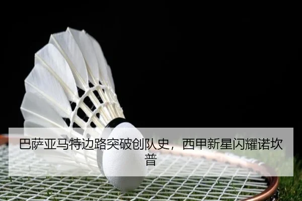 ba-sa-ya-ma-te-bian-lu-tu-po-chuang-dui-shi-xi-jia-xin-xing-shan-yao-nuo-kan-pu-2-270.jpg