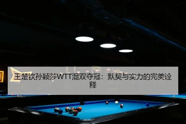 王楚钦孙颖莎WTT混双夺冠：默契与实力的完美诠释