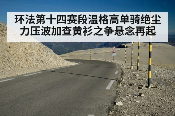 环法第十四赛段温格高单骑绝尘力压波加查黄衫之争悬念再起